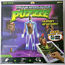 interactive-puzzle-human-anatomy